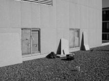 Expertise complète des murs